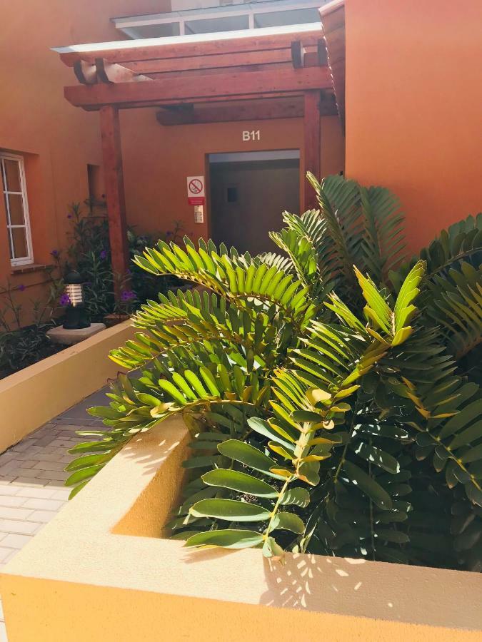 La Casa Canaria La Playa de Arguineguín Dış mekan fotoğraf
